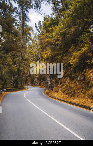 S-curve mountain road winding through pine forest along a rocky hillside, smooth asphalt and center line leading into golden foliage; serene empty rou Stock Photo