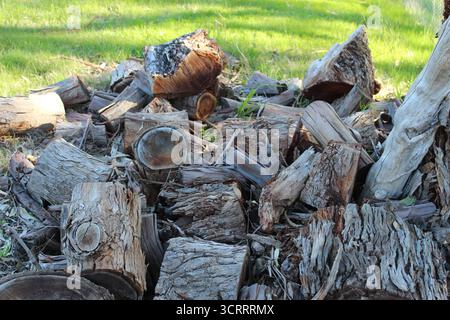 A tumbled pile of logs with rough bark and sawn ends, cut from a fallen tree and piled in a Hight Country paddock in the Spring sunshine. Stock Photo