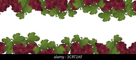 Seamless border with grape clusters and green leaves on top and bottom Stock Vector