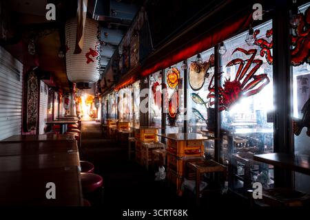 A series of seafood restaurants lined along the railway lines of Ginza Korido-dori street, otherwise known as Ginza Corridor. Stock Photo