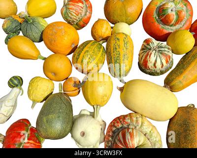Pile of pumpkins of various colors isolated on white Stock Photo