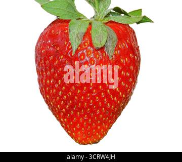 Strawberry isolated on white background. Fresh strawberry Stock Photo
