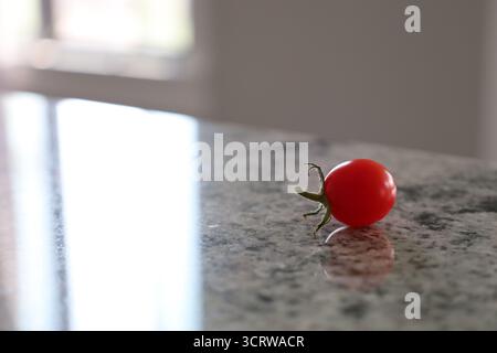Single Cherry Tomato on Countertop Stock Photo