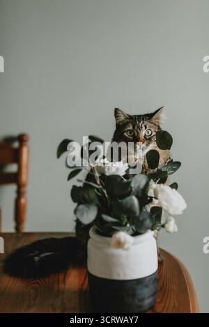 Cat Peeking Through Flowers on a Wooden Table Stock Photo