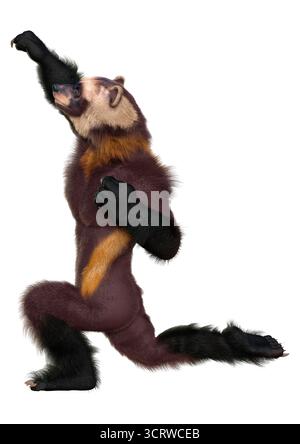 3D rendering of a wolverine man isolated on white background Stock ...