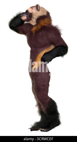 3D rendering of a wolverine man isolated on white background Stock ...