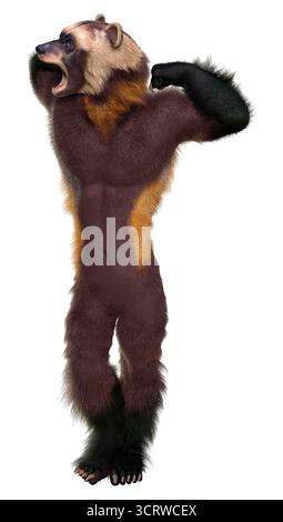 3D rendering of a wolverine man isolated on white background Stock ...