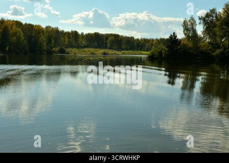 Clouds reflected and a forest of tall trees on the rippling surface of a beautiful lake on a sunny summer day. Lake Malinovskoye, Siberia, Russia. Stock Photo