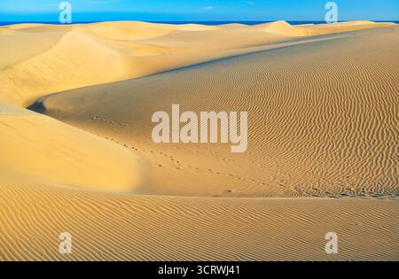 Sand dunes, Maspalomas, Playa del Ingles, Gran Canaria, Canary Islands, Spain Stock Photo