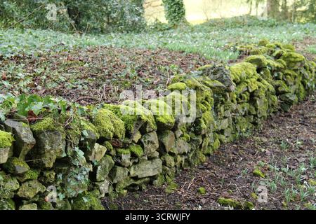 The Moss Covered Stones of a Garden Dry Stone Wall. Stock Photo