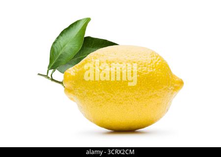 Lemon with leaves, isolated on white background. Stock Photo