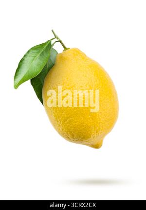 Lemon with leaves, isolated on white background. Stock Photo