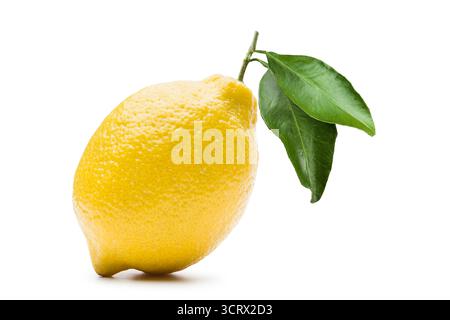 Lemon with leaves, isolated on white background. Stock Photo