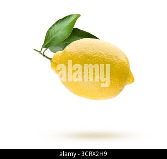 Lemon with leaves, isolated on white background. Stock Photo