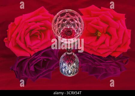 Reflecting With An Artisticly Created Glass Of Red Wine And Roses On A Red Background Stock Photo