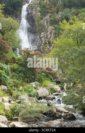 woman visitor in red top sitting on rocks in distance looking at Aber Falls, Rhaeadr Fawr, high waterfall cascading through trees Stock Photo