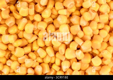 Yellow Canned Grain Corn Background. Stock Photo