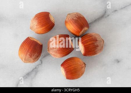 Close-up of hazelnuts in their shells on white marble Stock Photo
