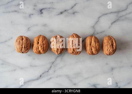 Close-up of walnuts in their shells lined up on white marble Stock Photo