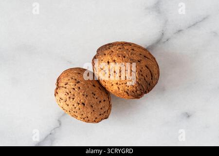 Close-up of almonds with their shells on white marble Stock Photo