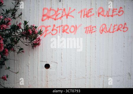Graffiti with the rebellious phrase “Break the Rules Destroy the Rulers” spray-painted in red on a white concrete wall next to blooming pink flowers. Stock Photo