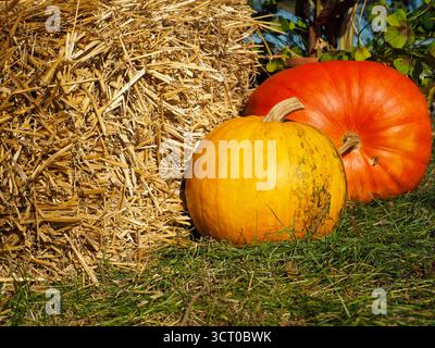Hay bale on the left and two pumpkins on the right in dark orange and yellow-orange autumn decoration Stock Photo