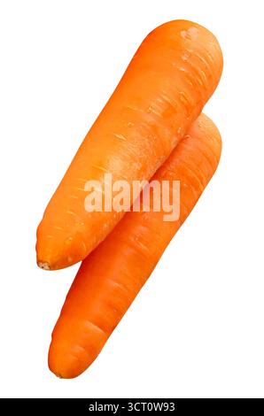 Side view of two fresh orange carrot roots in stack is isolated on white background with clipping path. Stock Photo