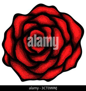 abstract rose free-hand drawing in a graphic style points and lines. Stock Vector