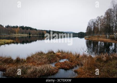 Expansive autumn landscape with marshy peat bog, calm northern lake, and pine birch forest reflections in Sweden Stock Photo