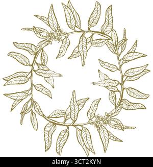 Vector frame with green olive leaves, hand drawn border in linear sketch style, botanical illustration isolated, perfect for packaging, invitations Stock Vector