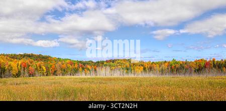 Colourful mountain with trees in full autumn colours reflected in a small lake in Quebec, Canada Stock Photo