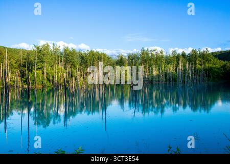 Aerial view of beautiful of Shirogane blue pond or Aoike in Biei town ...