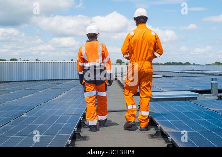 Two technicians inspecting solar panels Stock Photo