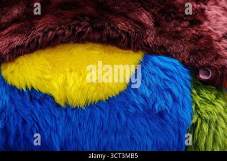 Animal skins dyed in yellow blue brown and green Stock Photo