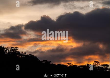 PÉREZ ZELEDÓN, SAN JOSÉ PROVINCE, COSTA RICA: Storm clouds gather over a ridge in the mountain rainforest of Pérez Zeledón, Costa Rica. Stock Photo