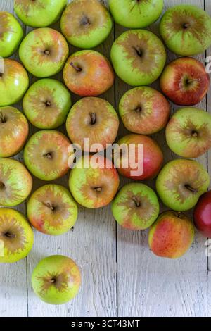 British Apples Stock Photo