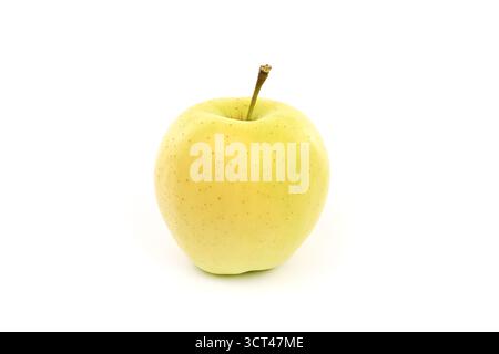 A yellow apple with a stem on top. The apple is sitting on a white background. The apple is ripe and ready to eat Stock Photo
