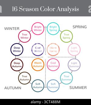 Elegant Seasonal Skin Color Analysis Illustration with Color Swatches ...