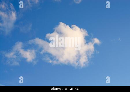 Single Fluffy White Cloud Floating in a Clear Vivid Blue Sky Stock Photo