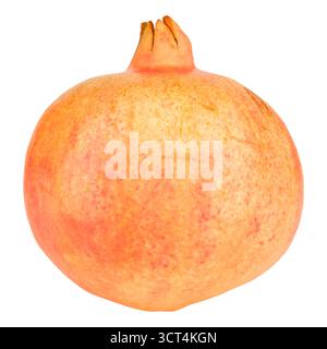A whole pomegranate on an isolated background. Stock Photo