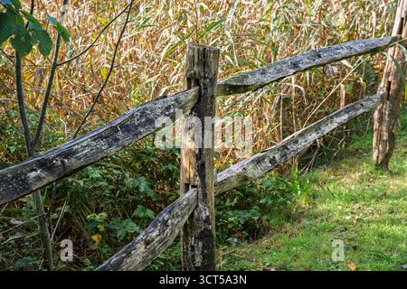 Close-up of Viking, Rustic ancient wooden fence post and rails, handcrafted without nails, weathered textures, Irish National Heritage Park. Stock Photo