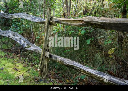 Close-up of Viking, Rustic ancient wooden fence post and rails, handcrafted without nails, weathered textures, Irish National Heritage Park. Stock Photo