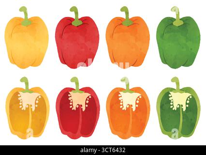 Colourful Bell Peppers and Cross Sections Illustration, Red, Yellow, Orange and Green Bell Peppers with Slices Illustration Stock Vector