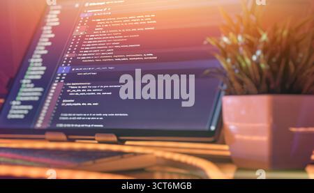 Clean and organized developer desk with Python code on screen, warm ambient lighting, RGB keyboard, and a decorative plant beside the monitor. Stock Photo