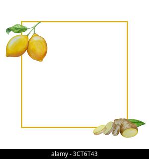 Watercolor illustration of spice ginger, half, leaves and slices. Hand-drawn illustration isolated on white background. Ginger root for food design Stock Photo