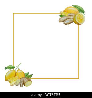 Watercolor illustration of spice ginger, half, leaves and slices. Hand-drawn illustration isolated on white background. Ginger root for food design Stock Photo