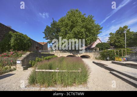 Altstadt, historische Stadtbefestigung, Stadtmauer, Burg, Gartenanlage, Baeume, Gewoehnliche Platane (Platanus Ã—hispanica), Blumenbeete, Holzzaun, We Stock Photo