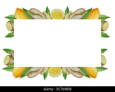 Watercolor illustration of spice ginger, half, leaves and slices. Hand-drawn illustration isolated on white background. Ginger root for food design Stock Photo