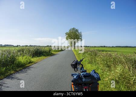 Bicycle on a lonely country road surrounded by fields and a tree under a blue sky, Zetel, Friesland, Lower Saxony, Germany Stock Photo