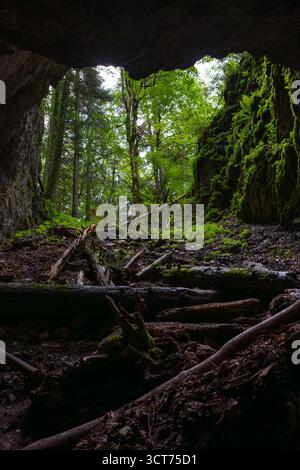 View from inside a moss-covered limestone cave opening toward a lush green forest with ferns and fallen logs on the ground in Apuseni Mountains Stock Photo